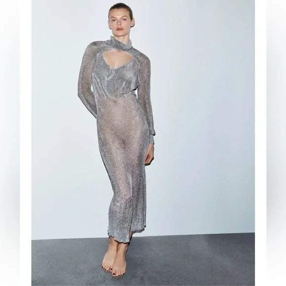 ZARA METALLIC THREAD MESH DRESS LIMITED EDITION - Picture 2 of 12